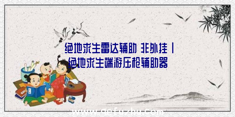「绝地求生雷达辅助
